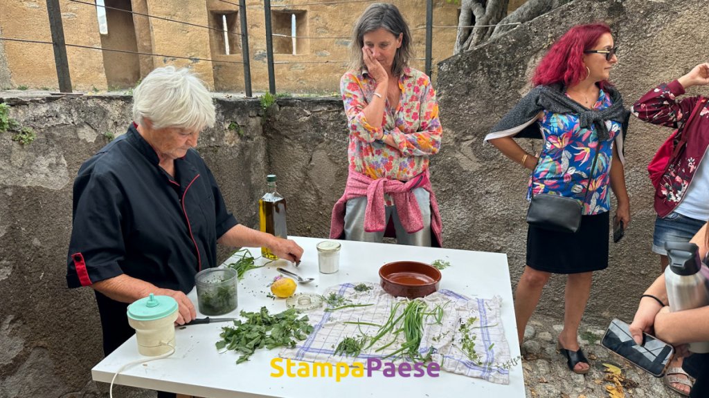 ''Acteur Locaux Stampa Paese'' - La Fêtes des plantes à Corti : découverte des plantes de la région et de leurs usages Image