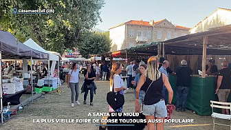 TV Locale Corse - A Santa di u Niolu : la plus vieille foire de Corse toujours aussi populaire